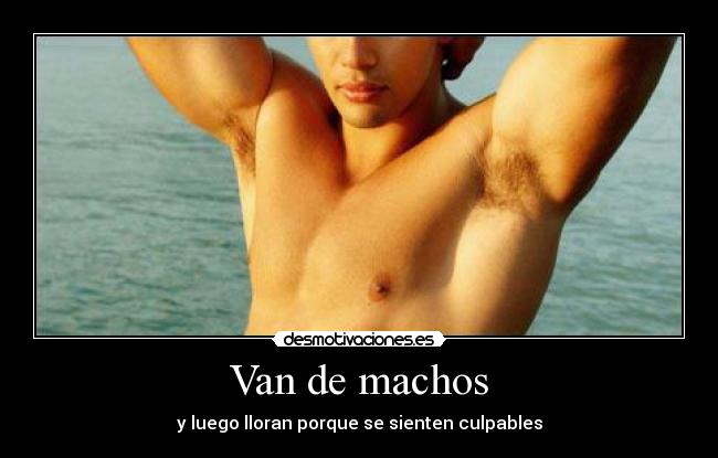 Van de machos - y luego lloran porque se sienten culpables