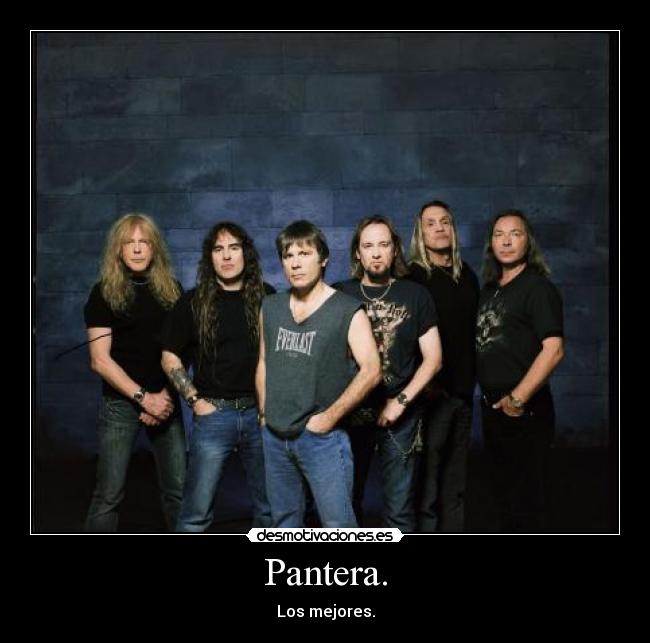 Pantera. - Los mejores.