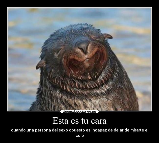 carteles eften que kedao guapo porke cartel una mierda xddd desmotivaciones