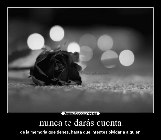 nunca te darás cuenta - de la memoria que tienes, hasta que intentes olvidar a alguien.