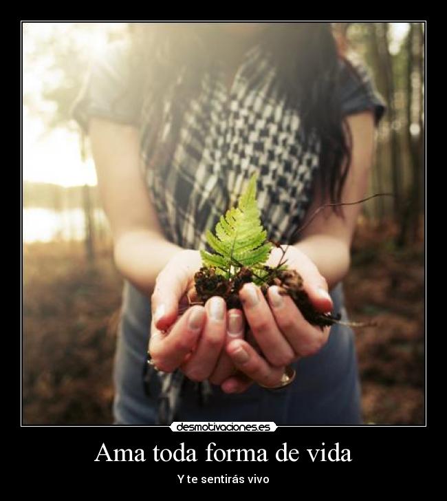 Ama toda forma de vida -