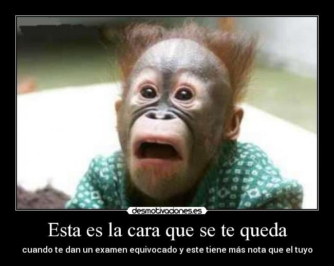 Esta es la cara que se te queda - cuando te dan un examen equivocado y este tiene más nota que el tuyo