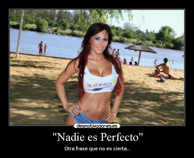 Nadie es Perfecto -