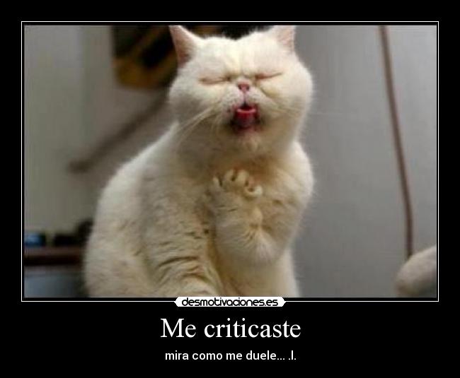 Me criticaste - 
