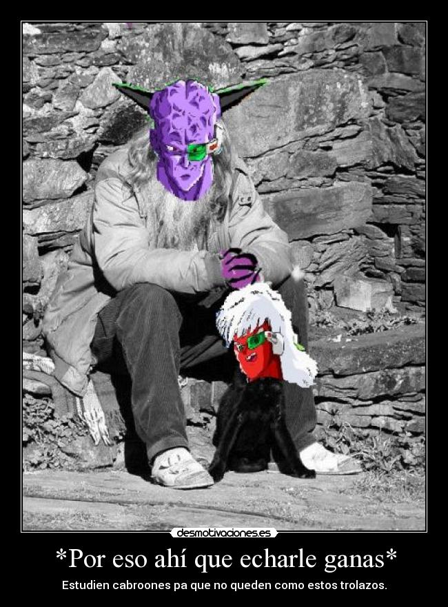 carteles estudien chamacos sonf desmotivaciones