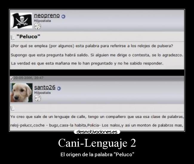 Cani-Lenguaje 2 - El origen de la palabra Peluco