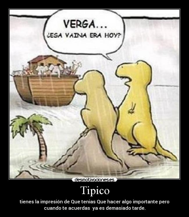 Tipico - 