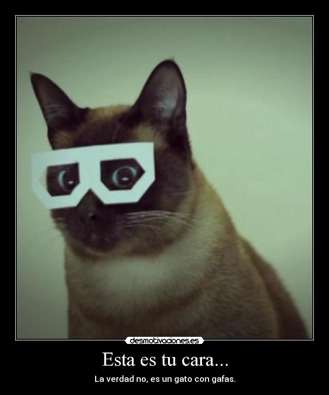 Esta es tu cara... - 