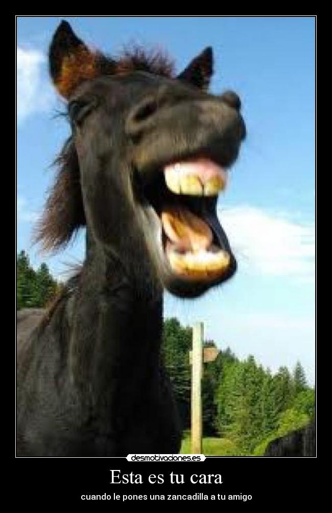 Esta es tu cara - cuando le pones una zancadilla a tu amigo