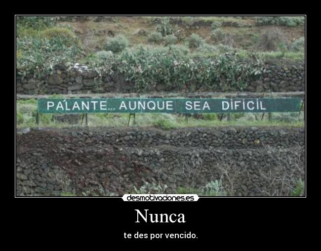 Nunca - te des por vencido.