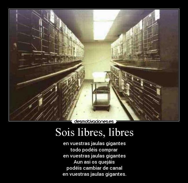 Sois libres, libres - 