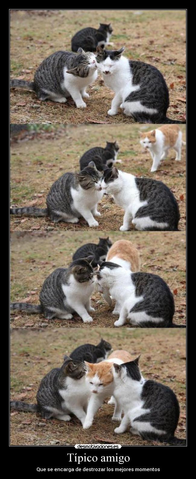 Típico amigo - Que se encarga de destrozar los mejores momentos