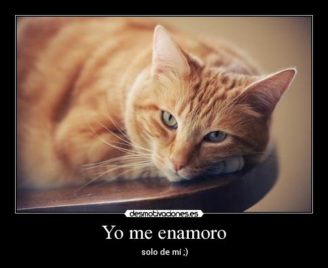Yo me enamoro - 