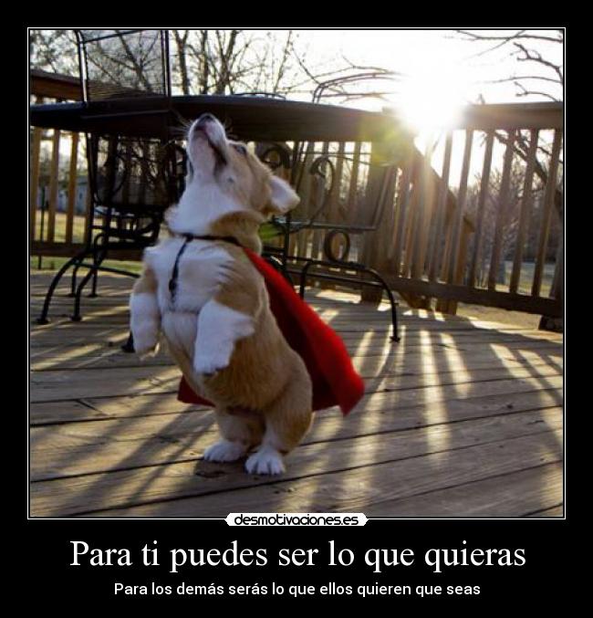 Para ti puedes ser lo que quieras - Para los demás serás lo que ellos quieren que seas