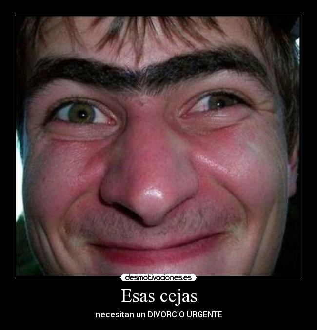 Esas cejas - necesitan un DIVORCIO URGENTE