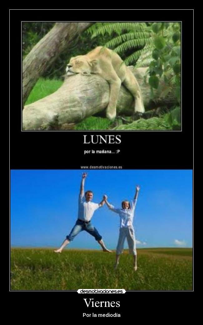 Viernes - Por la mediodía