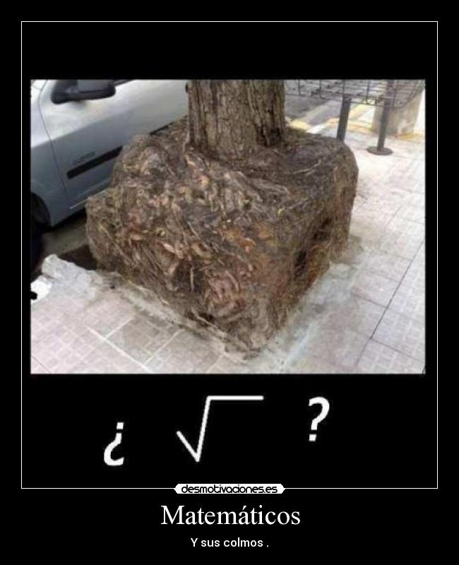 Matemáticos -
