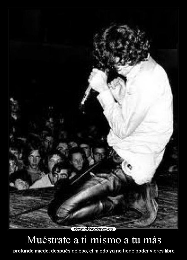 carteles jim morrison desmotivaciones