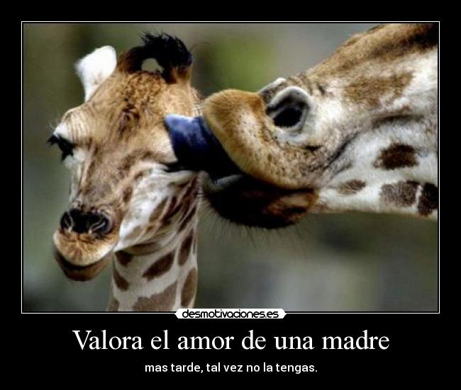 Valora el amor de una madre - mas tarde, tal vez no la tengas.