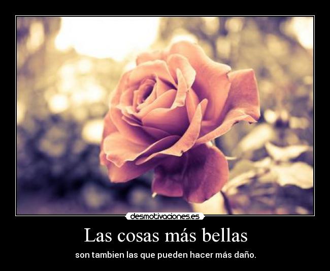 Las cosas más bellas - son tambien las que pueden hacer más daño.