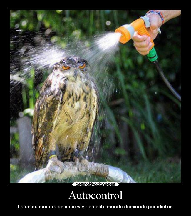 carteles autocontrol sobrevivir desmotivaciones