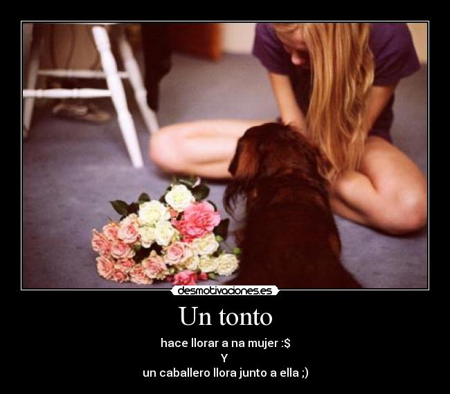 Un tonto - hace llorar a na mujer :$
Y
un caballero llora junto a ella ;)