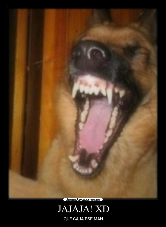 carteles xdddddddddd desmotivaciones