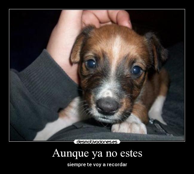 Aunque ya no estes -