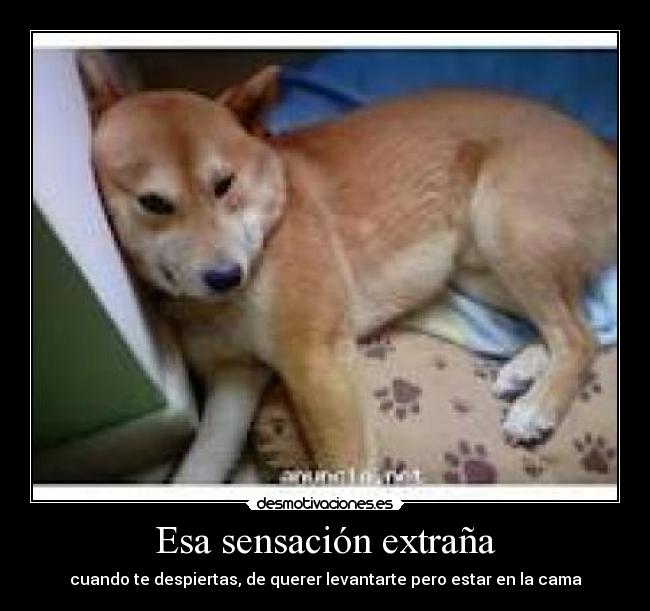 Esa sensación extraña - cuando te despiertas, de querer levantarte pero estar en la cama