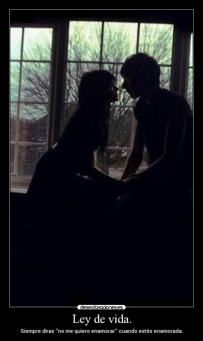 Ley de vida. - Siempre diras no me quiero enamorar cuando estés enamorada.