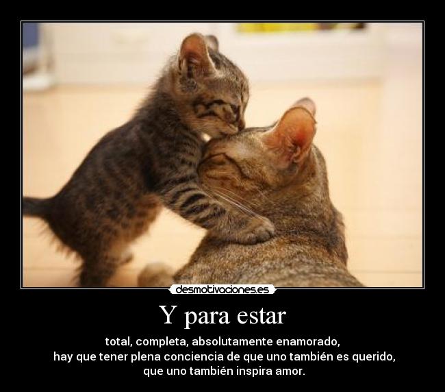 Y para estar - total, completa, absolutamente enamorado,
hay que tener plena conciencia de que uno también es querido,
que uno también inspira amor.