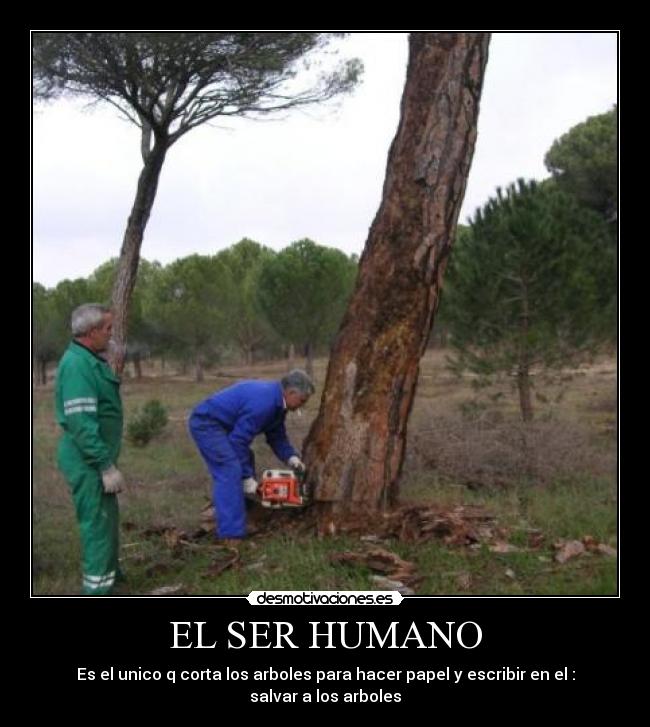 EL SER HUMANO -