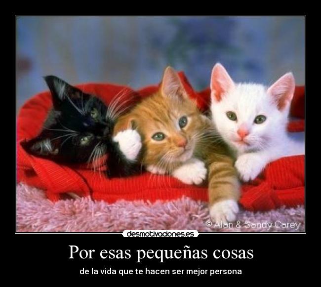 Por esas pequeñas cosas - de la vida que te hacen ser mejor persona