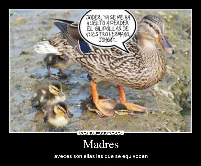 carteles madres pato ellas desmotivaciones