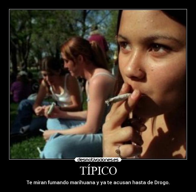 TÍPICO - Te miran fumando marihuana y ya te acusan hasta de Drogo.