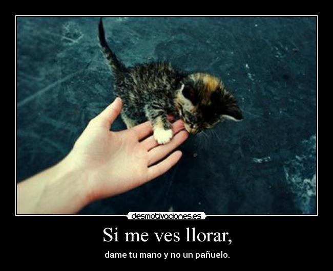 Si me ves llorar, -