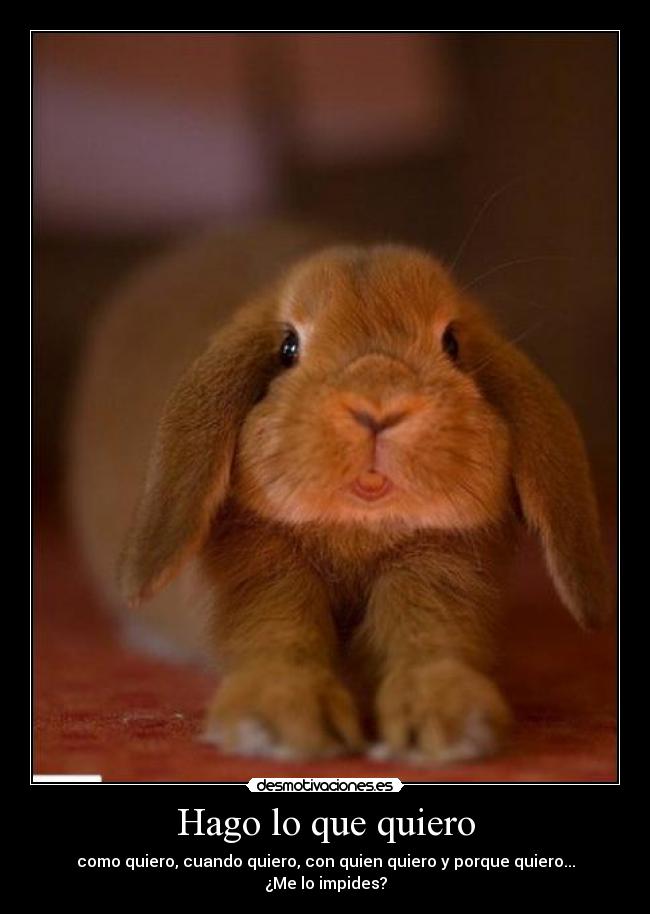Hago lo que quiero - como quiero, cuando quiero, con quien quiero y porque quiero...
¿Me lo impides?