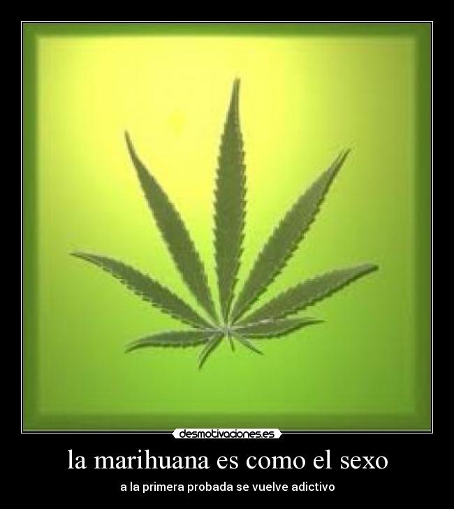la marihuana es como el sexo - a la primera probada se vuelve adictivo