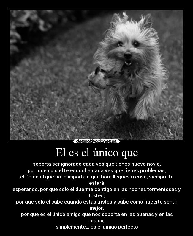 carteles nuestro mejor amigo peor pagado desmotivaciones