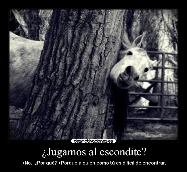 ¿Jugamos al escondite? - 