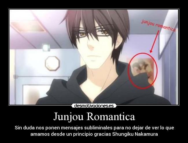 Junjou Romantica -