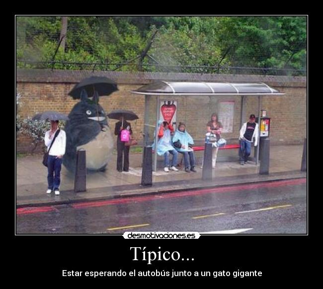 Típico... - 