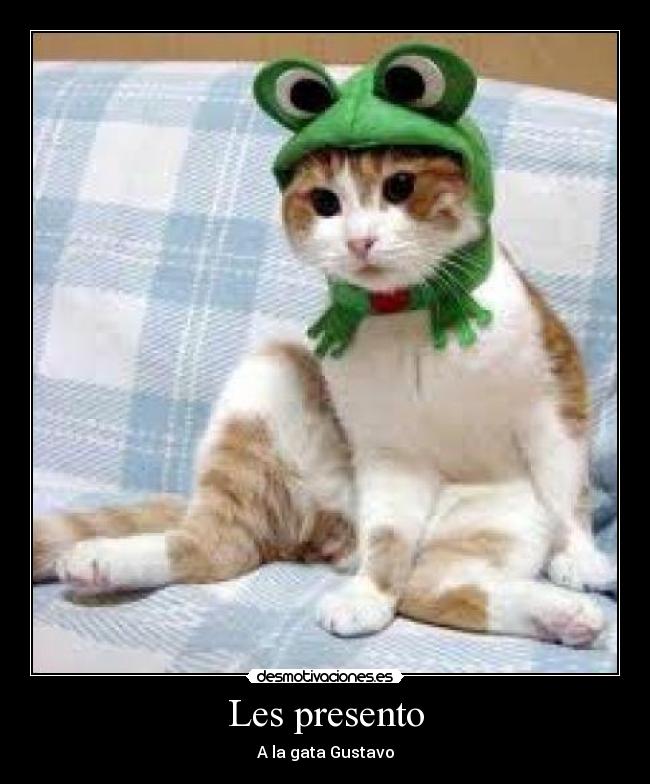 Les presento - A la gata Gustavo