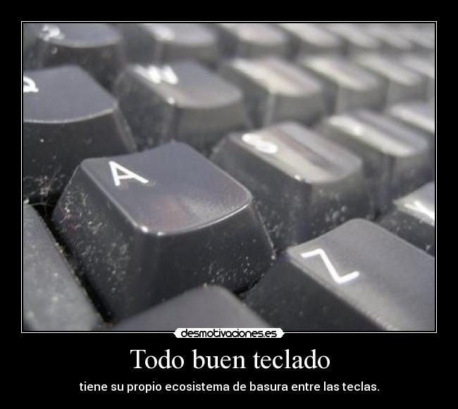 Todo buen teclado - tiene su propio ecosistema de basura entre las teclas.