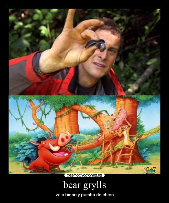 bear grylls -