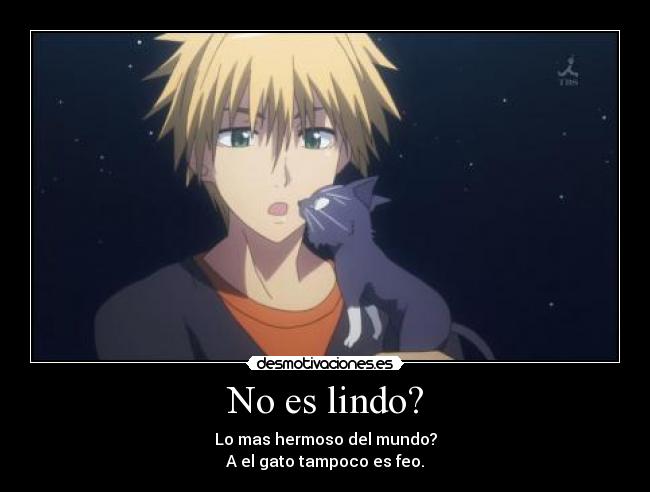 No es lindo? - Lo mas hermoso del mundo?
A el gato tampoco es feo.