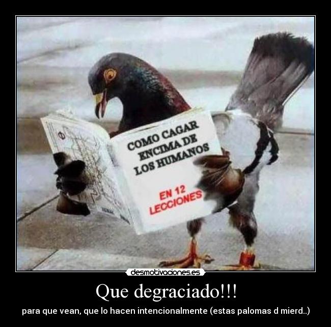 Que degraciado!!! -