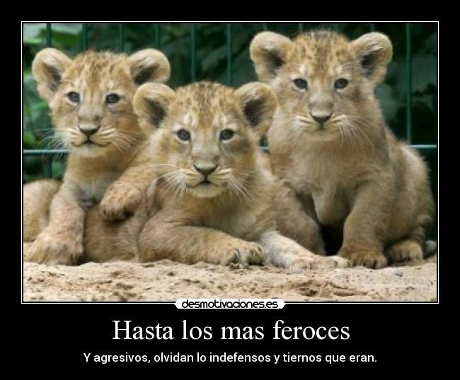 Hasta los mas feroces - 
