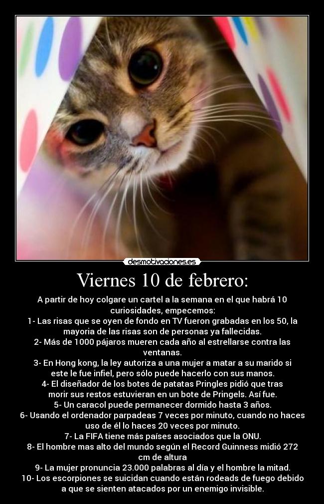 Viernes 10 de febrero: - A partir de hoy colgare un cartel a la semana en el que habrá 10
curiosidades, empecemos:
1- Las risas que se oyen de fondo en TV fueron grabadas en los 50, la
mayoria de las risas son de personas ya fallecidas.
2- Más de 1000 pájaros mueren cada año al estrellarse contra las
ventanas.
3- En Hong kong, la ley autoriza a una mujer a matar a su marido si
este le fue infiel, pero sólo puede hacerlo con sus manos.
4- El diseñador de los botes de patatas Pringles pidió que tras
morir sus restos estuvieran en un bote de Pringels. Así fue.
5- Un caracol puede permanecer dormido hasta 3 años.
6- Usando el ordenador parpadeas 7 veces por minuto, cuando no haces
uso de él lo haces 20 veces por minuto.
7- La FIFA tiene más países asociados que la ONU.
8- El hombre mas alto del mundo según el Record Guinness midió 272
cm de altura
9- La mujer pronuncia 23.000 palabras al día y el hombre la mitad.
10- Los escorpiones se suicidan cuando están rodeads de fuego debido
a que se sienten atacados por un enemigo invisible.