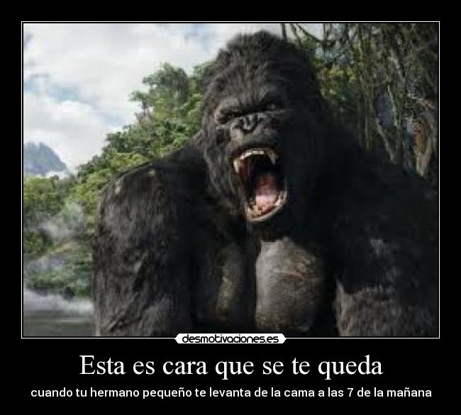 Esta es cara que se te queda - cuando tu hermano pequeño te levanta de la cama a las 7 de la mañana